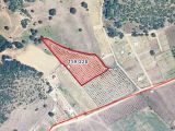 BURSA KILIÇ TAN YENİŞEHİR BURCUN DA SATILIK 7224m2 ARMUT BAHÇESİ