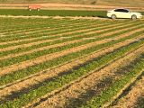 BURSA KILIÇ TAN KARACABEY GÖNÜ KÖYÜNDE SATILIK 3108 m2 TARLA
