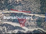 BURSA KILIÇ TAN DEMİRTAŞ BARBAROS TA SATILIK 448 m2 TARLA