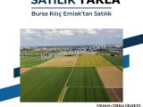 BKE BURSA KILIÇ TAN ŞAVŞAT YAVUZKÖY ORMAN İÇİNDE SATILIK 1.916m2 TARLA